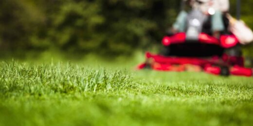 Entretien espaces verts