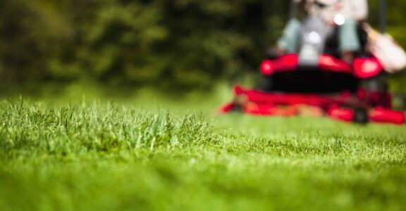 Entretien espaces verts